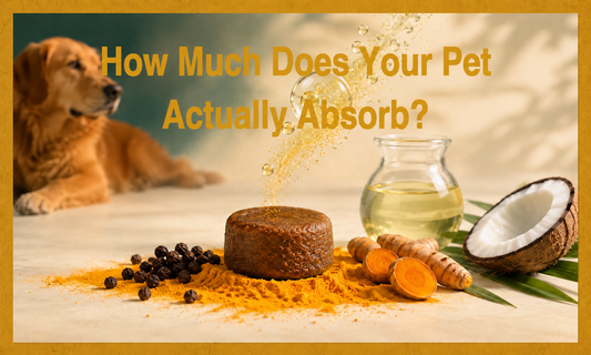 Your Pet Swallowed It. But Did Their Body Actually Use It?