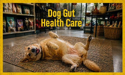 Is Your Dog’s Gut Healthy?
