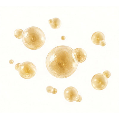 Brewer’s Yeast Cell Wall