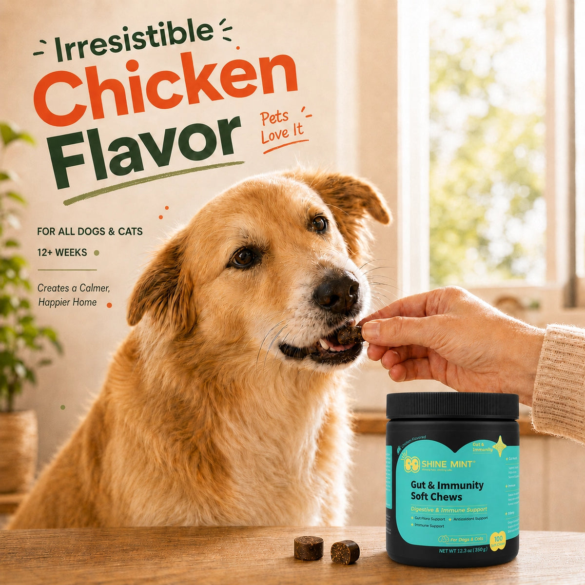 Gut & Immune Support Soft Chews