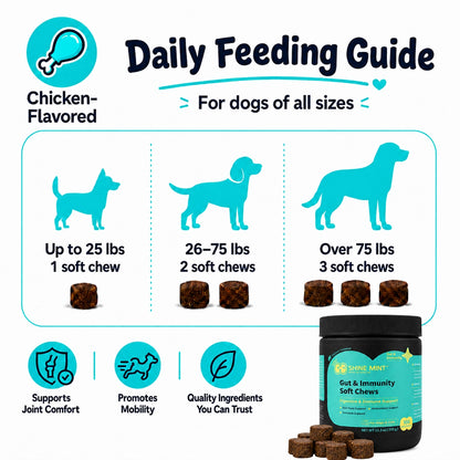 Gut & Immune Support Soft Chews