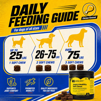 Joint & Mobility Soft Chews